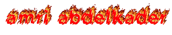 slt ca va ci mon nom